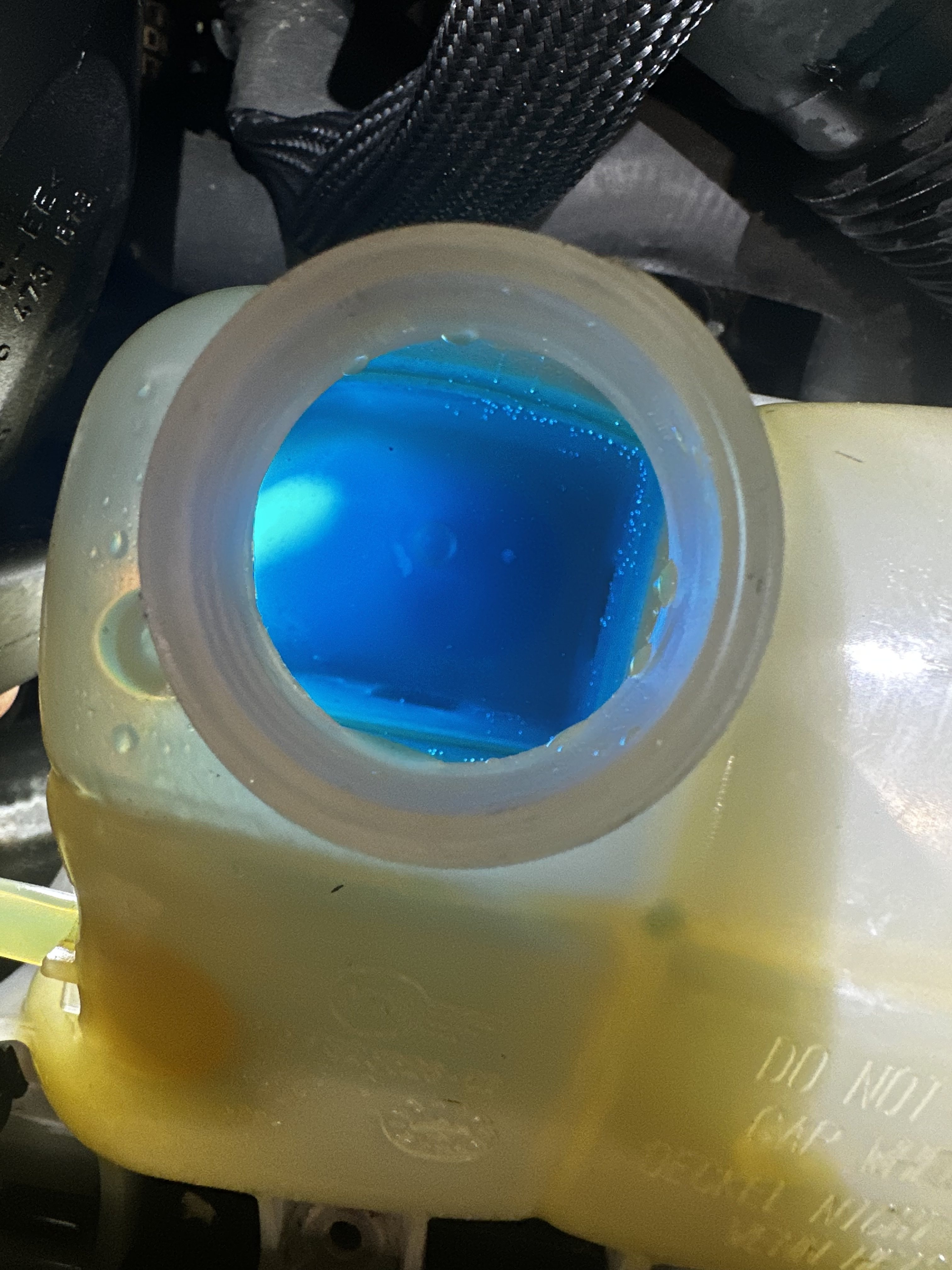 Bright blue coolant filled to the neck of the BMW branded plastic expansion tank
