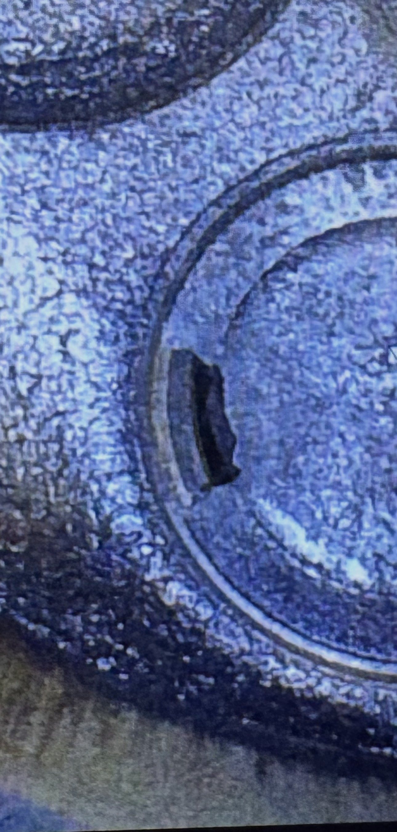 Zoomed-in crop of the cylinder 1 exhaust valve showing the irregular missing section at the edge of the valve head.