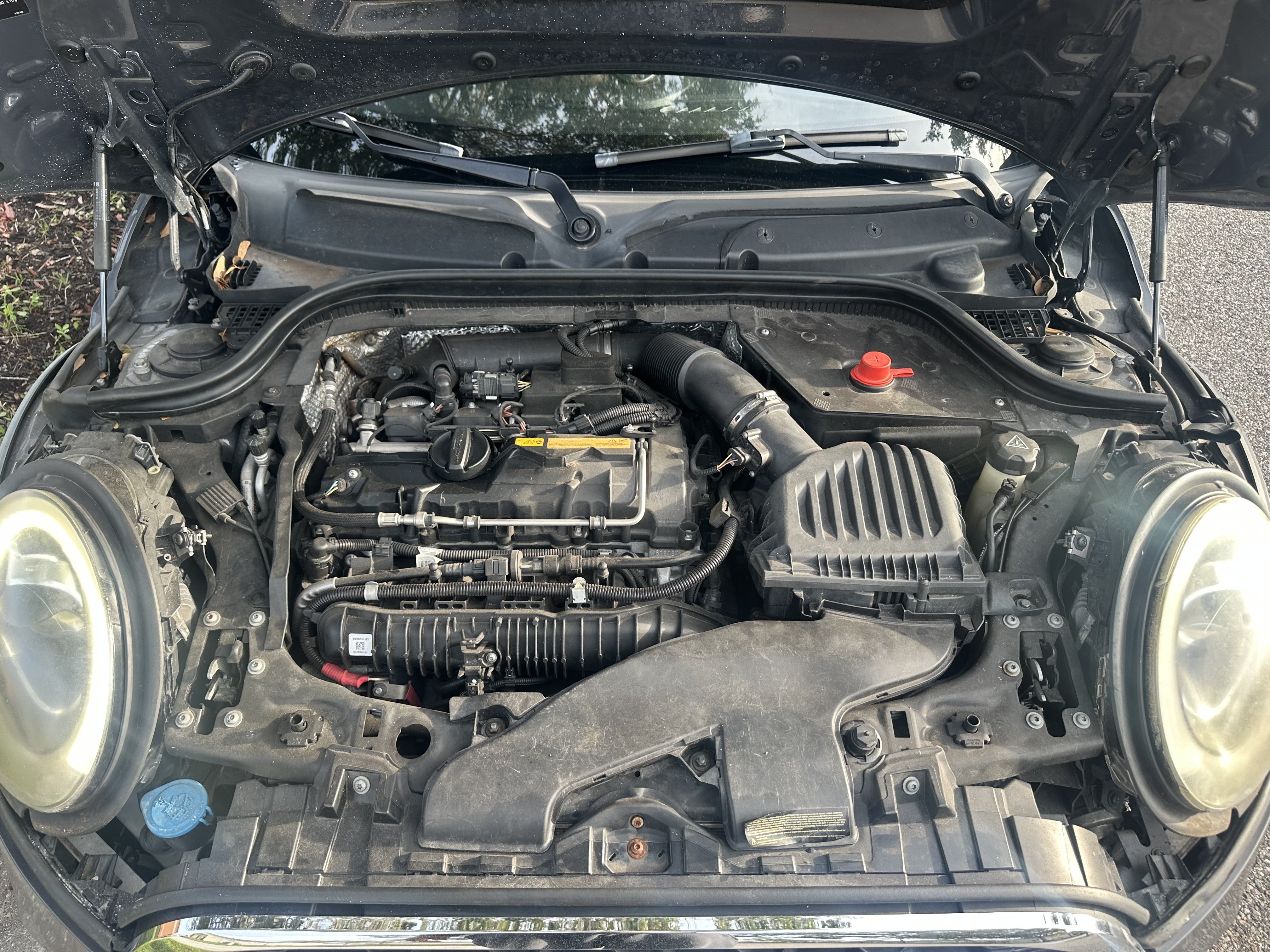 Open MINI engine bay with the rear of both headlight housings and their connectors visible at the left and right edges